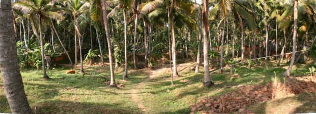Land

 BWB Kerala