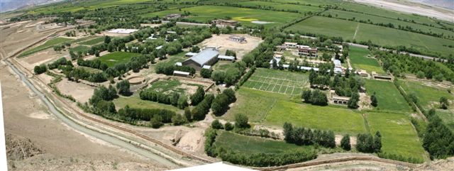 Farm July 2005