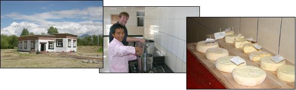 Cheese factory